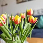 Apartment Utspann Bohl