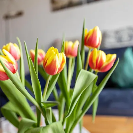 Utspann Apartmán Sankt Peter-Ording