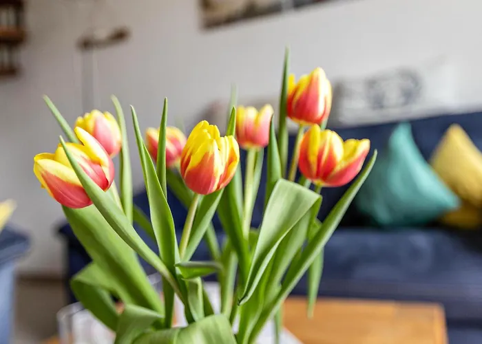 Utspann Apartamento Böhl